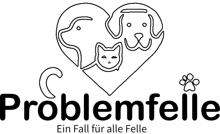 Problemfelle